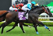 Speedy Cat (Manoel Nunes) gets up in the shadows of the post to deny El Milagro (Danny Beasley, obscured).<br>Photo by Singapore Turf Club